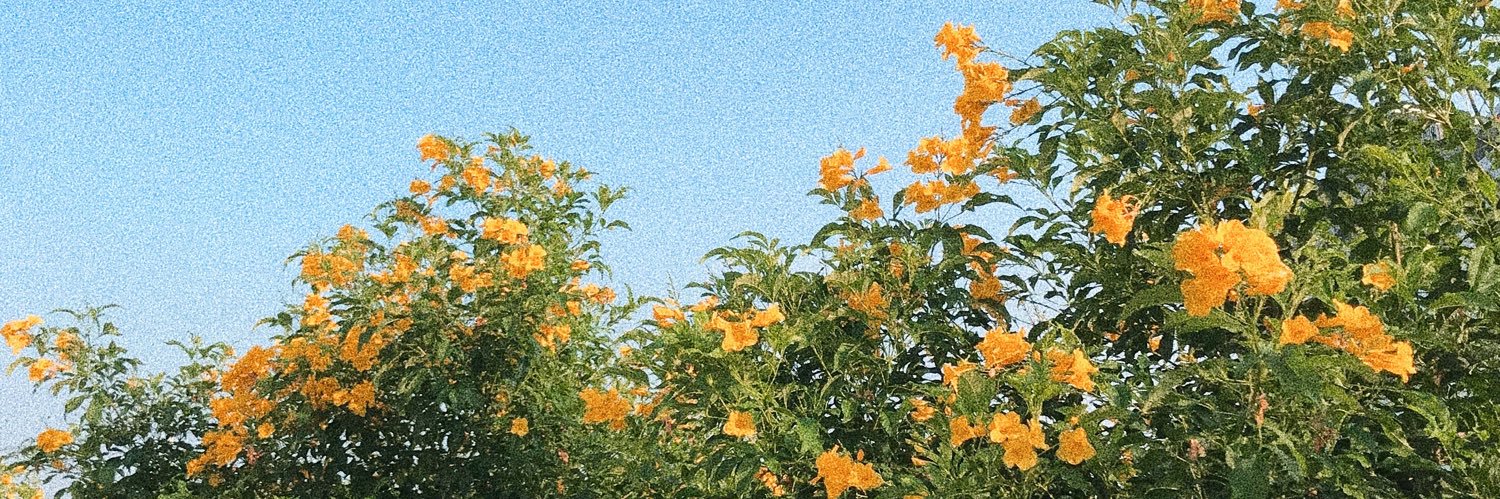 menaisyou's profile banner image