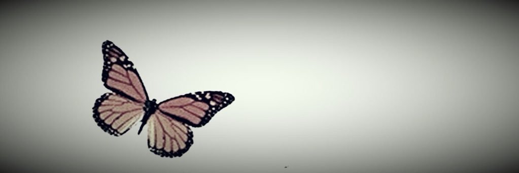 l7n____________'s profile banner image