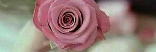 aishamasmali's profile banner image