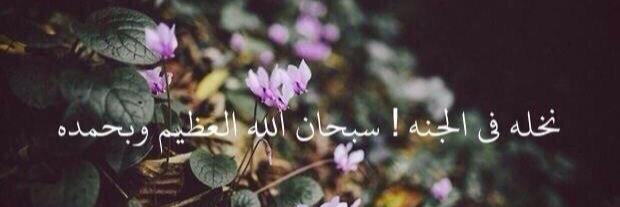 sha62926623's profile banner image