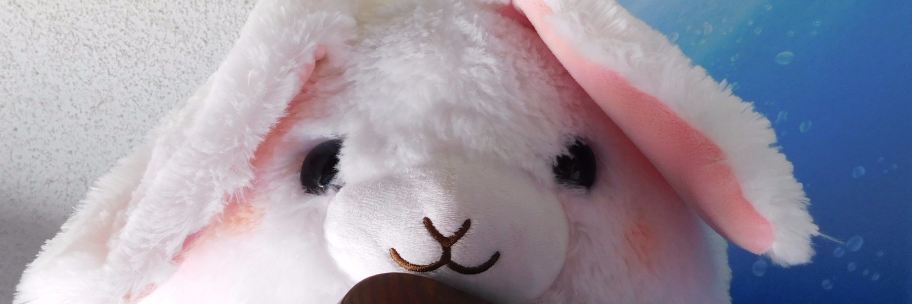 AiraySickle's profile banner image
