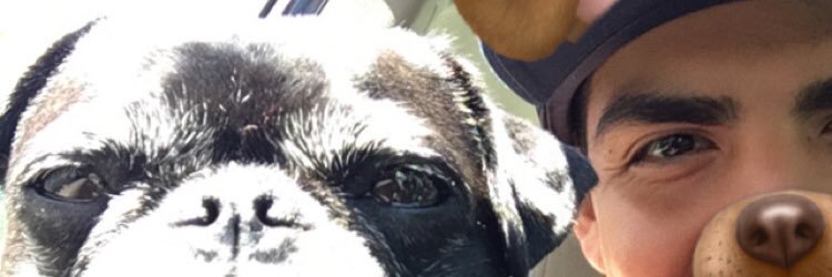 artyrosas's profile banner image