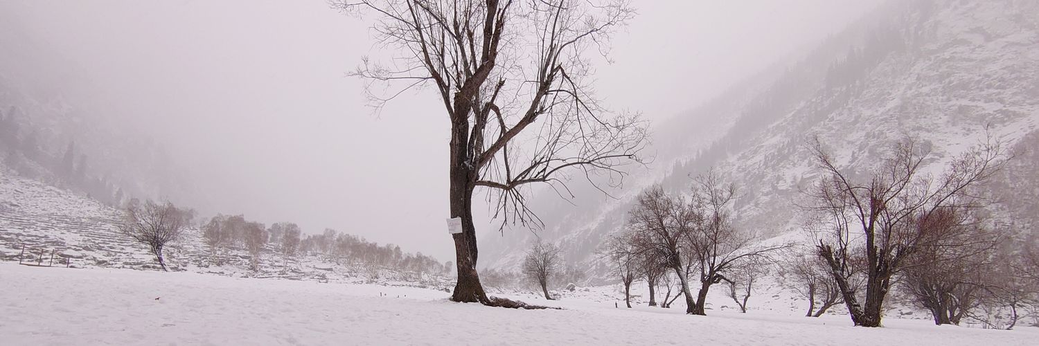 MZohaibshafi's profile banner image