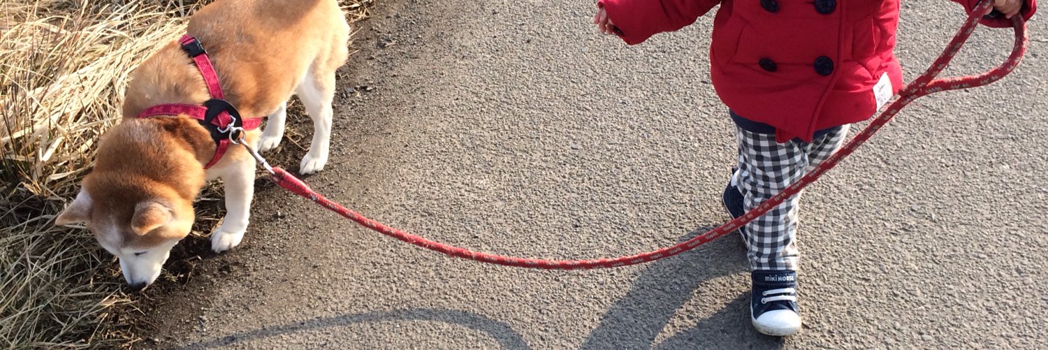 ______pooh's profile banner image