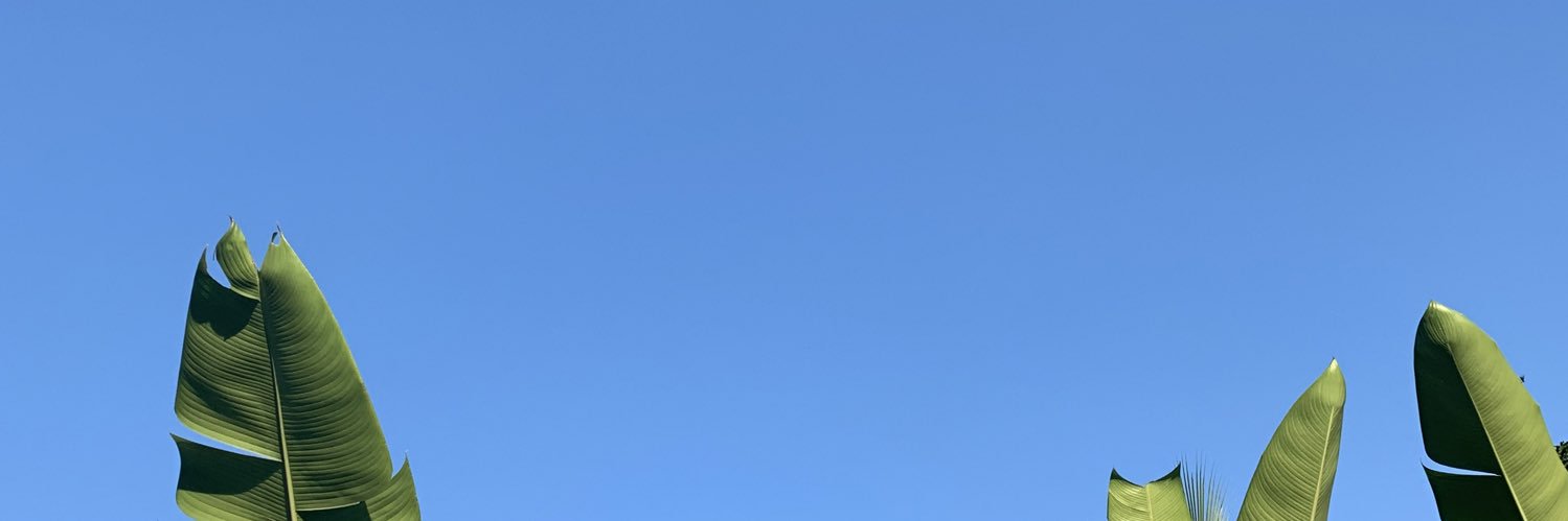 Mario A. Pinzón banner