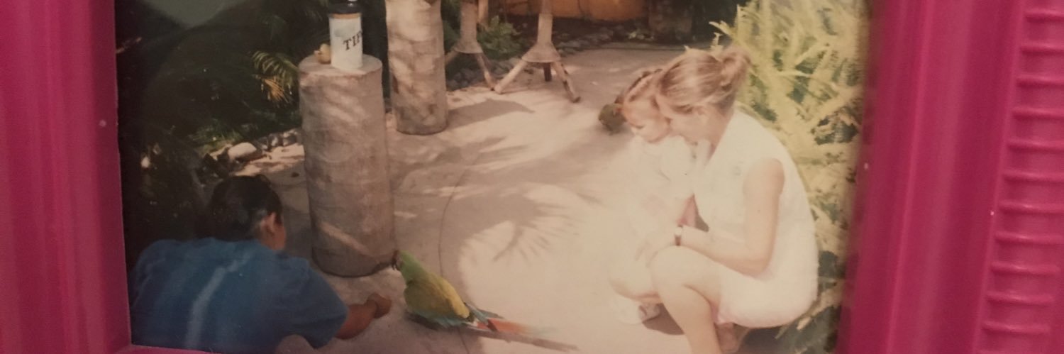 miripajj's profile banner image