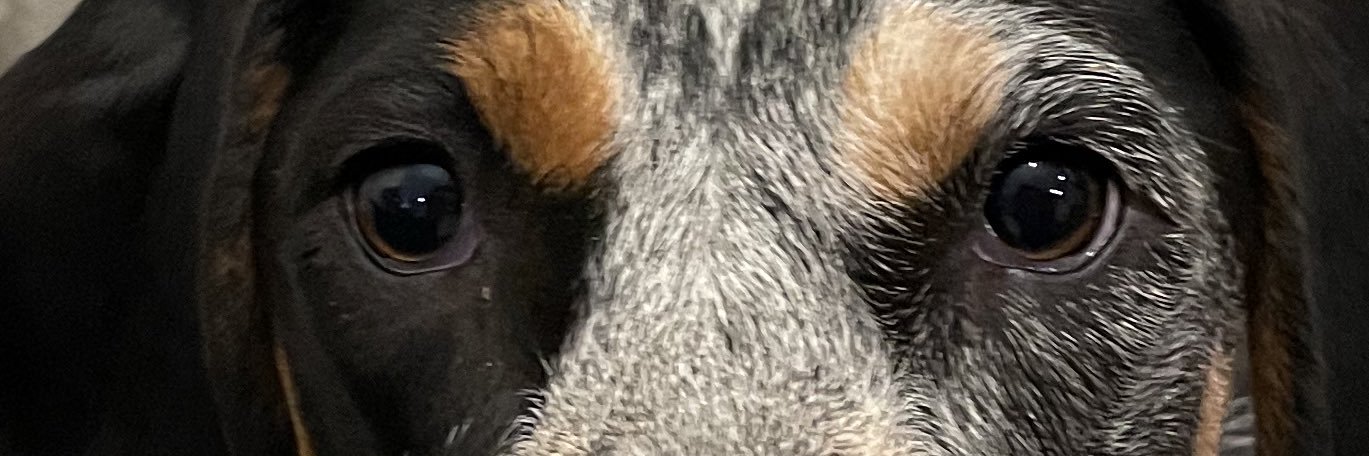 philipwaldrop1's profile banner image