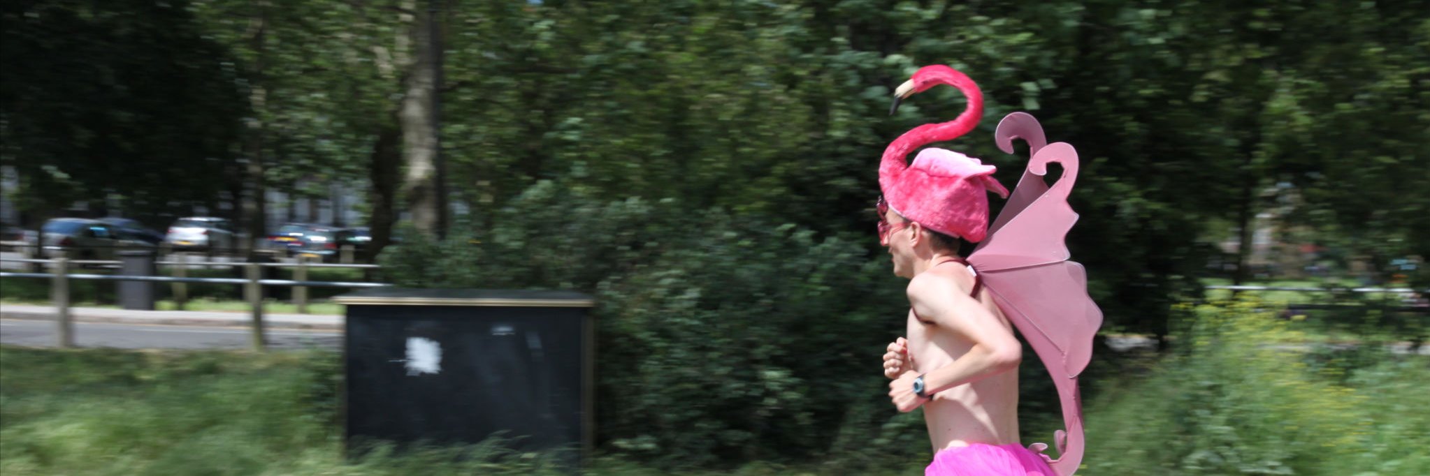 michaelslong's profile banner image
