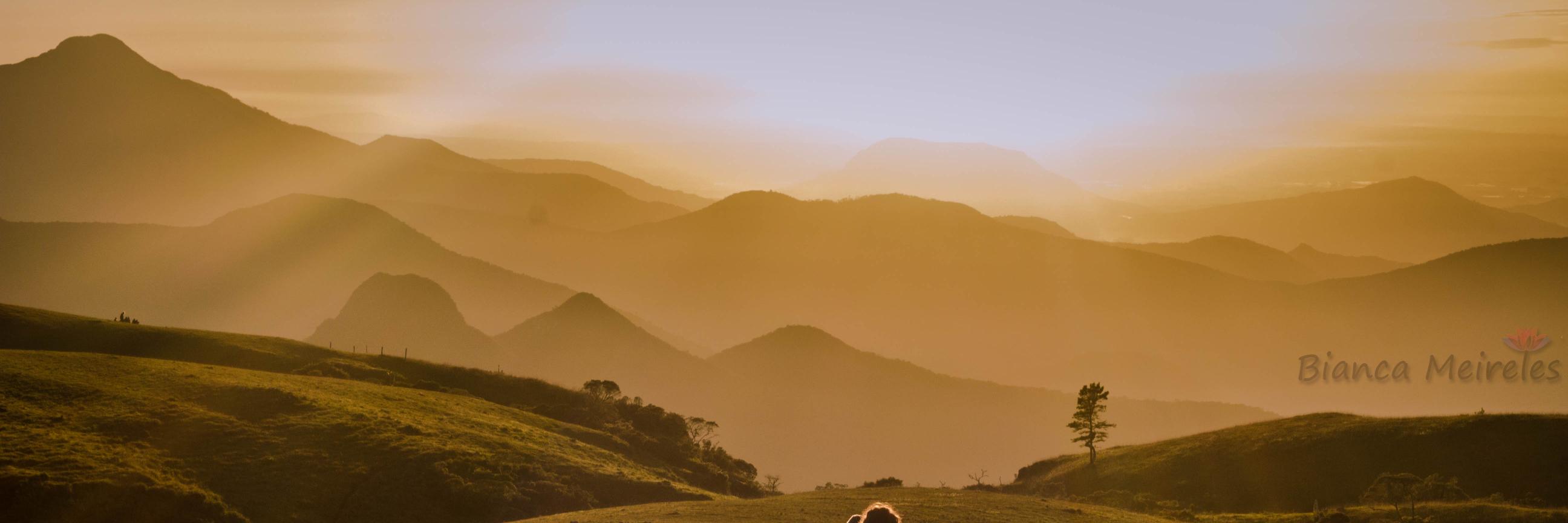 biabanana_'s profile banner image