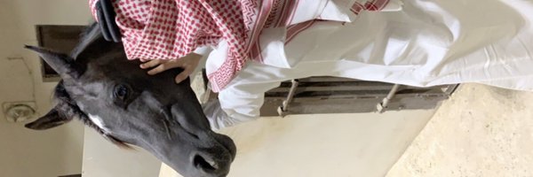 _li33 Profile Banner