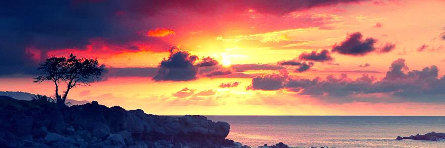 cheyenneMarieC's profile banner image
