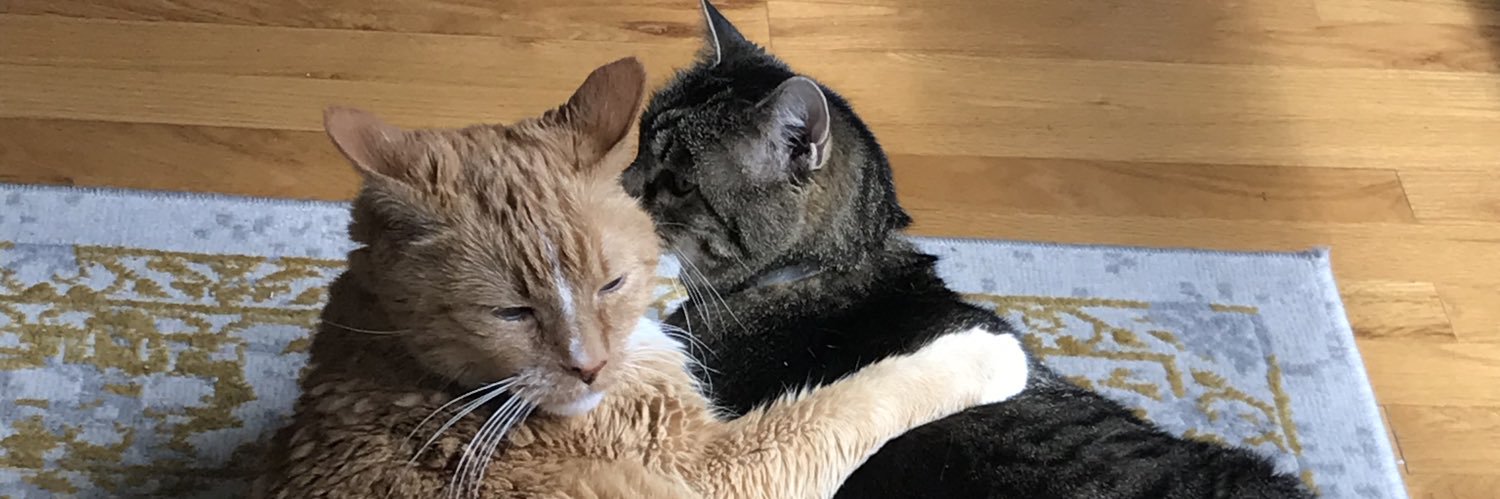 e_post69's profile banner image