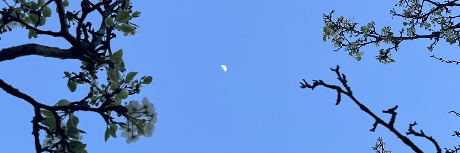 Lover boy❤️‍🔥 banner