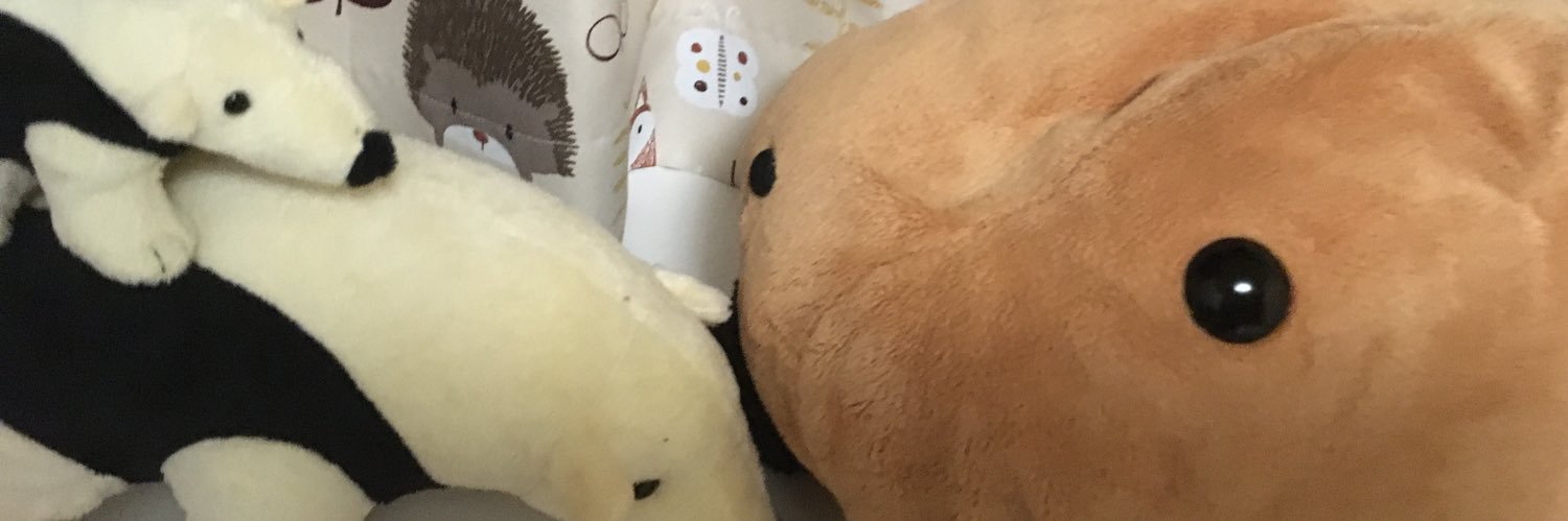 kazubara_net's profile banner image