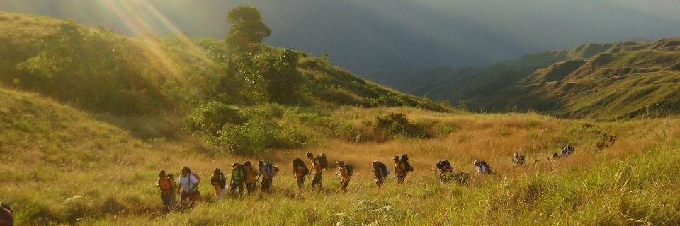 Y_Fania's profile banner image
