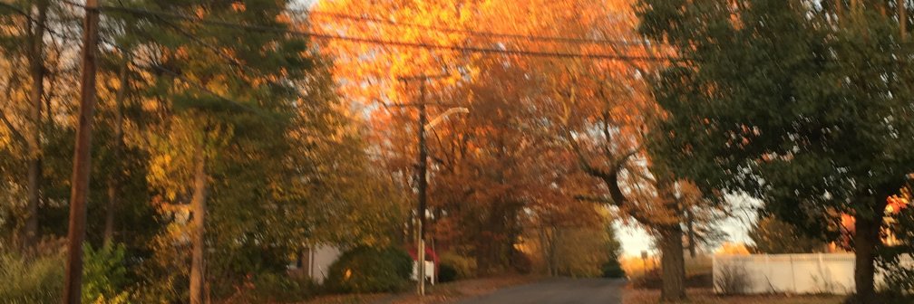 eggnog44's profile banner image