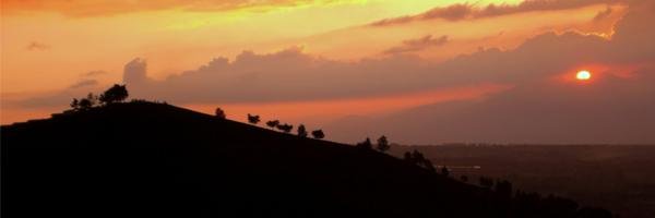 nursinta_11's profile banner image