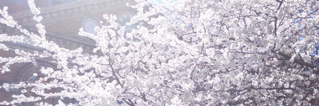 josephjdkim's profile banner image