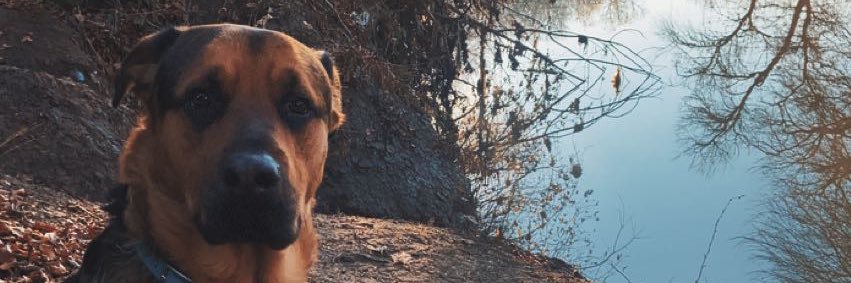 xrsha_'s profile banner image