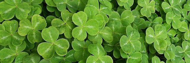 KERRY_LL0YD's profile banner image