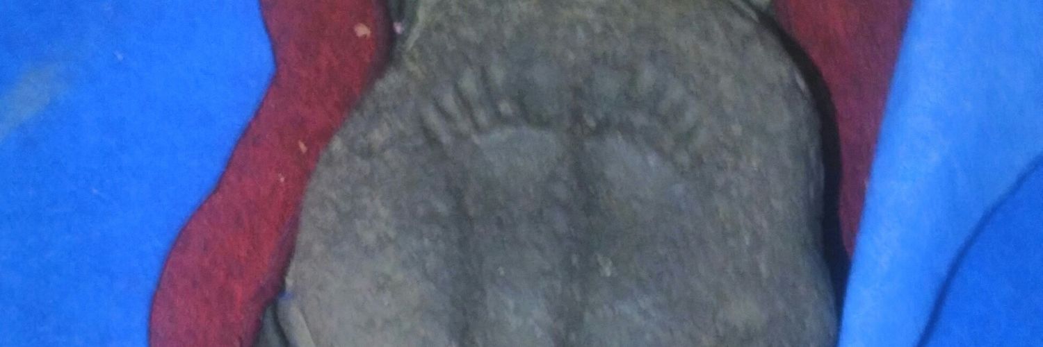 andychristianto's profile banner image