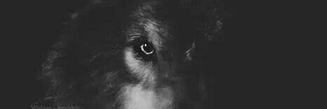 Fabio Amorim⚔️⚓ banner