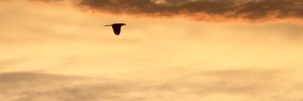 davgrema's profile banner image