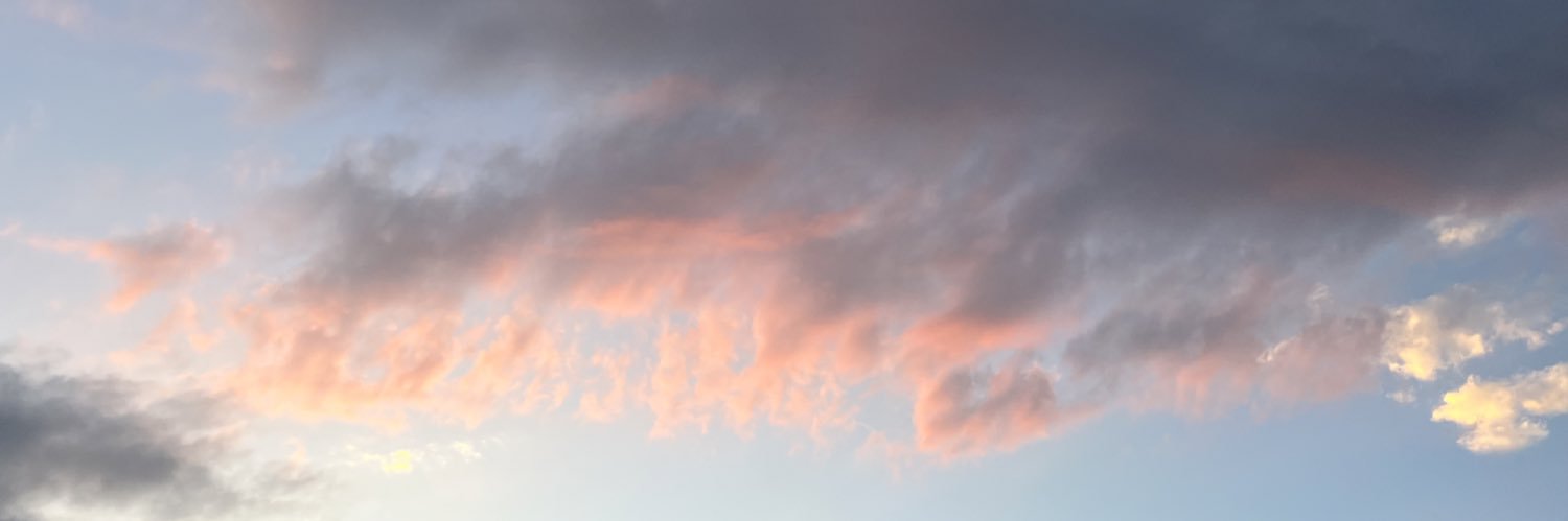 hollsbrud's profile banner image