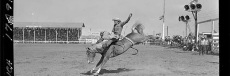 Rusty Shackleford banner