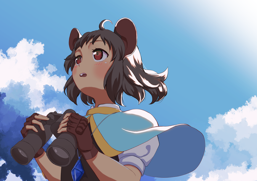 Kapi banner