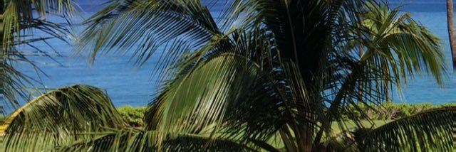 gazoo247's profile banner image
