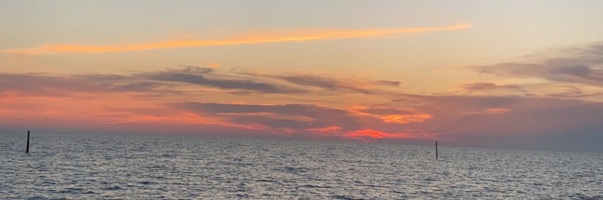 pipermorgan31's profile banner image