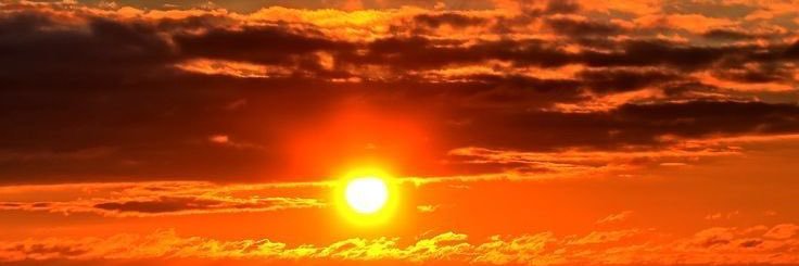 Rodrigo Sosa. banner