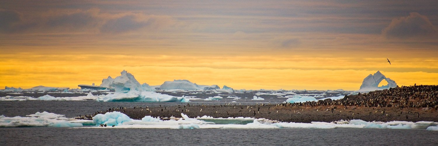 Греходоводовa Полина banner