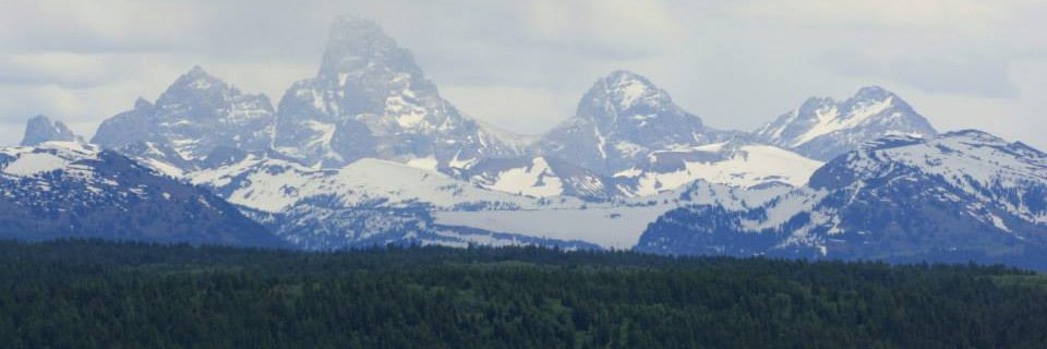 BrayLisaM's profile banner image