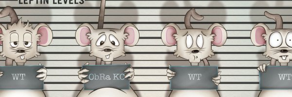 MolMetab Profile Banner
