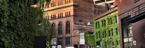 vancityamber Profile Banner