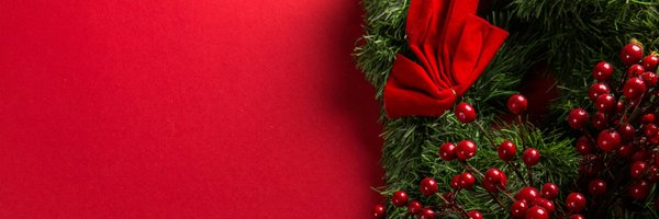 CuddleStein3 Profile Banner