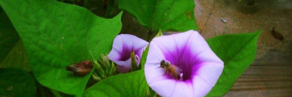 a75365454's profile banner image