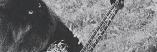 Keyalion's profile banner image