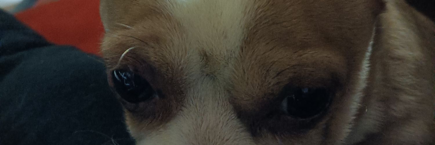 jdomingohn's profile banner image
