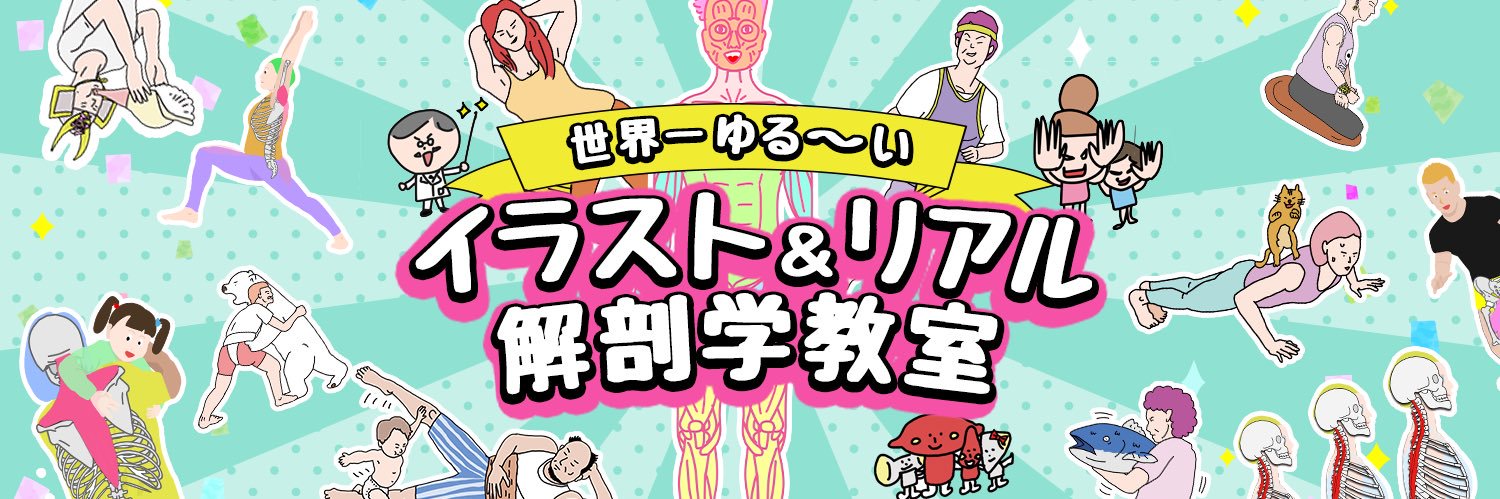 anatomylabo's profile banner image