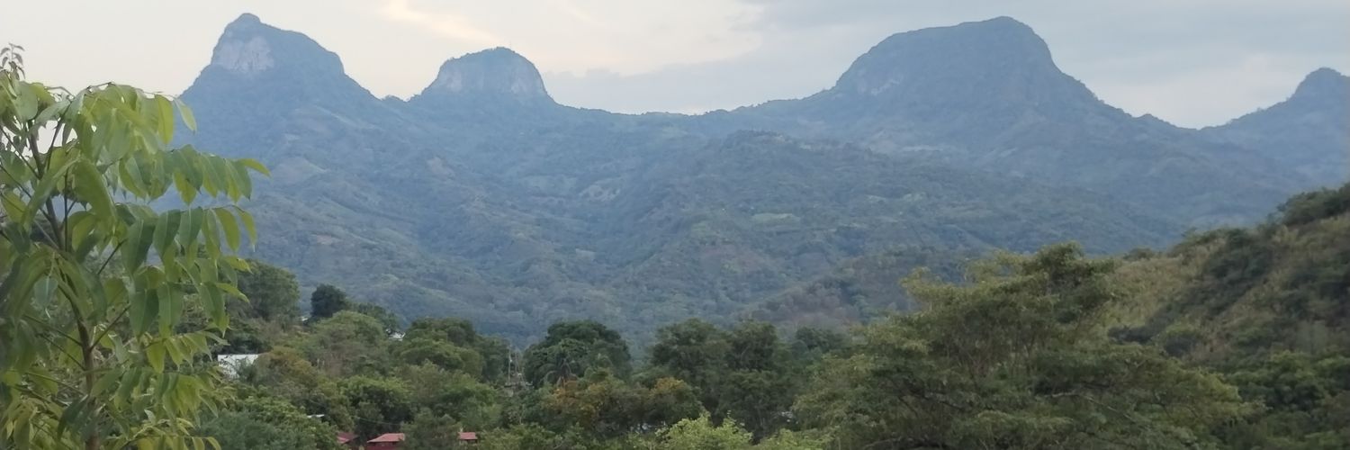albertori06's profile banner image