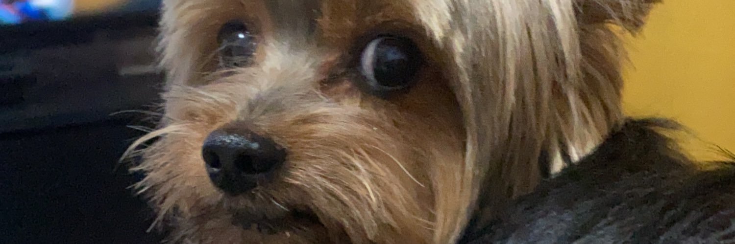 AleScharth's profile banner image