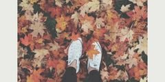 andreanavams2's profile banner image