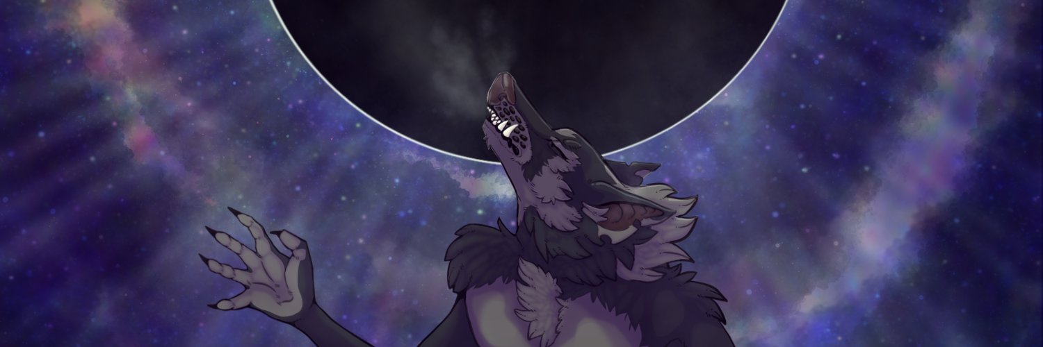 SolaraOkami's profile banner image