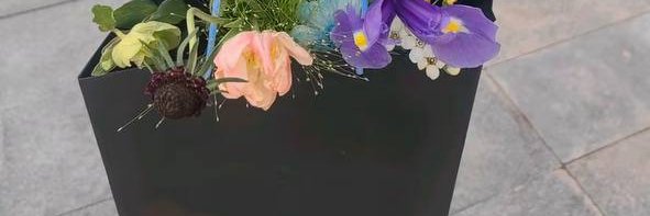 DambaevSergey's profile banner image