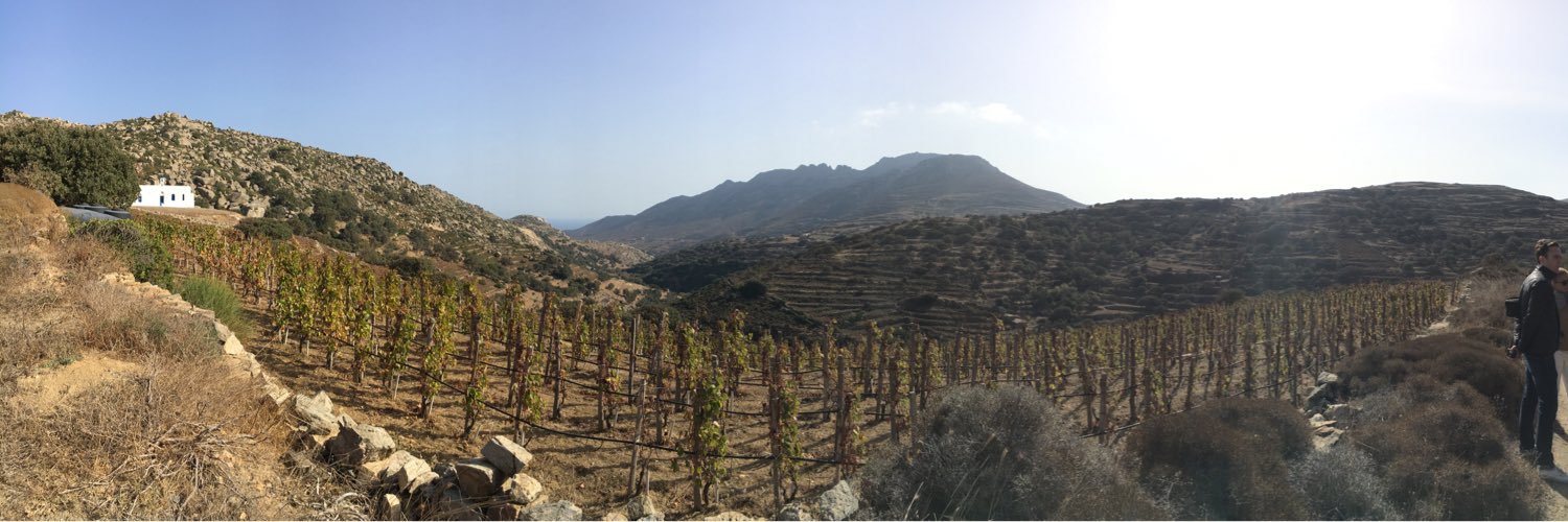 Lenka Sedlackova MW banner