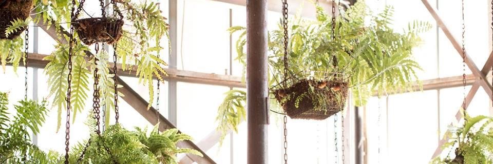 Daisy_Rafferty's profile banner image