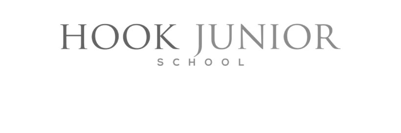 Hook Junior School banner